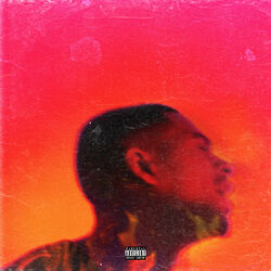 Cover of Platinum Fire