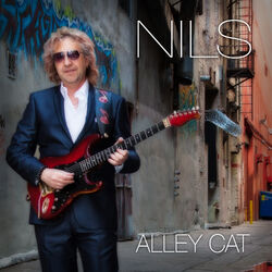 Cover of Alley Cat