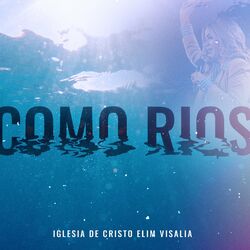 Cover of Como Rios