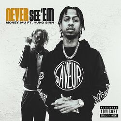 Cover of Never See'em