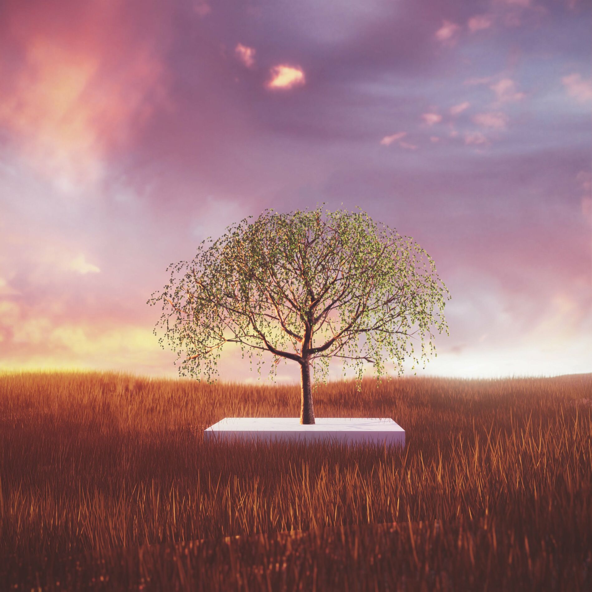 Album cover of Changes