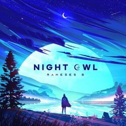 Cover of Night Owl