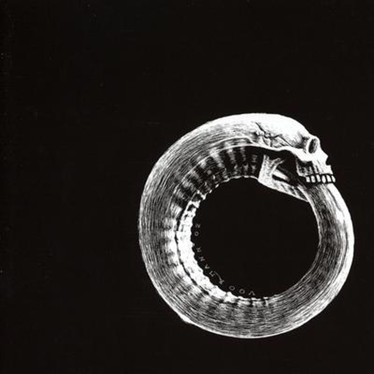 Album cover of Scandinavian Leather