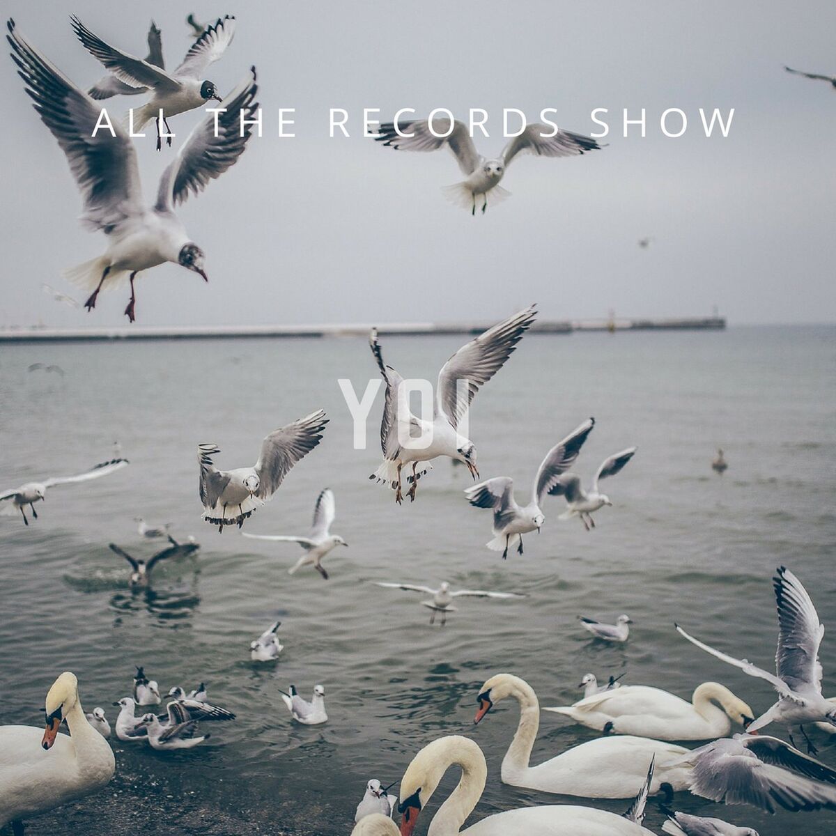 Album cover of All the Records Show