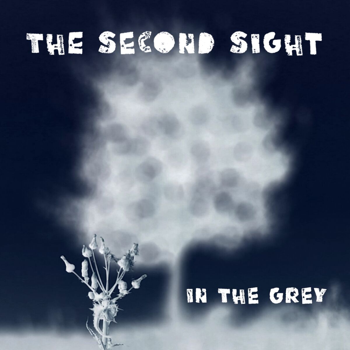 Album cover of In the Grey
