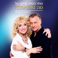 Cover of מה זאת אהבה - המופע המשותף