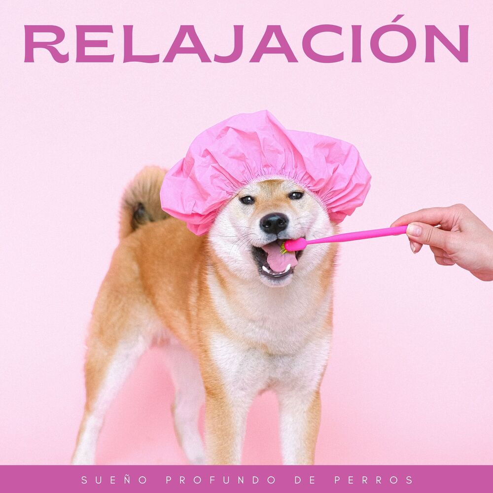 Picture of Relajación: Sueño Profundo De Perros