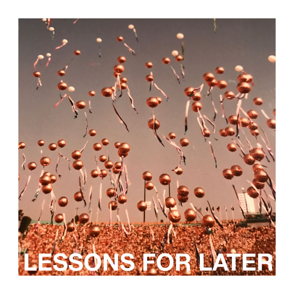 Picture of Lessons For Later