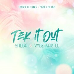 Cover of Tek It Out