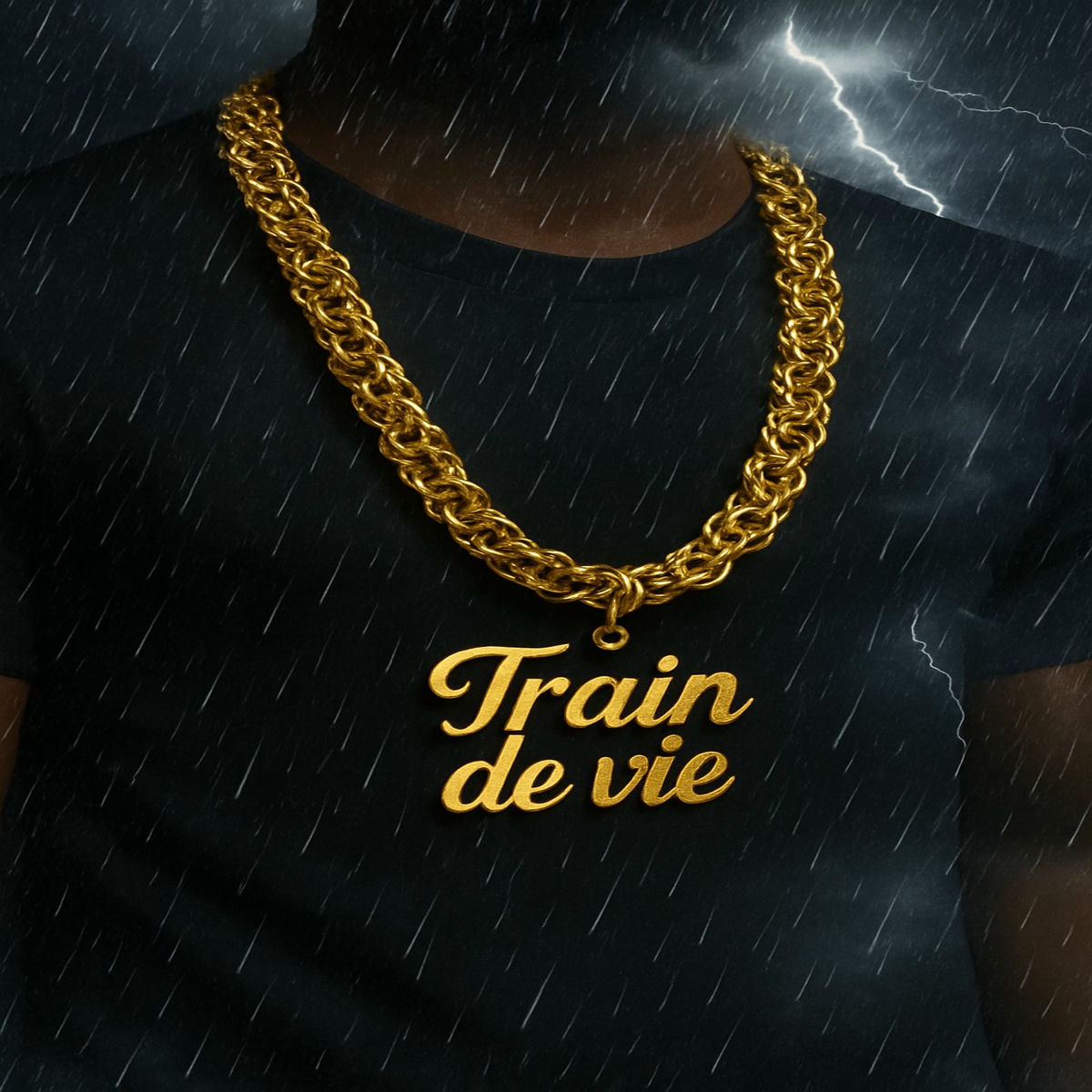 Album cover of TRAIN DE VIE