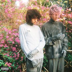 Cover of more than life