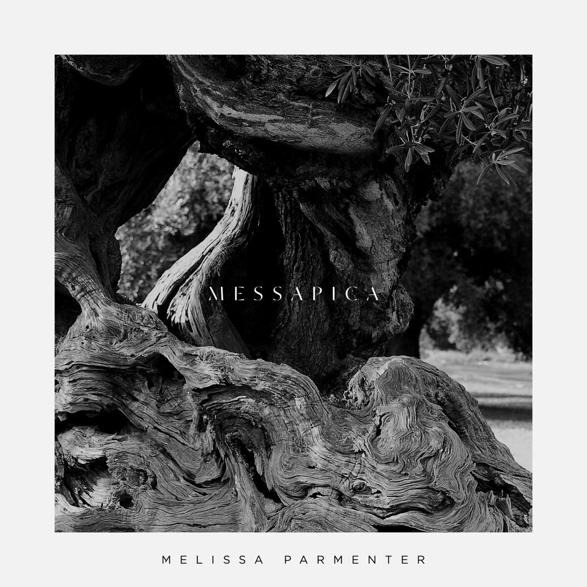 Album cover of Messapica