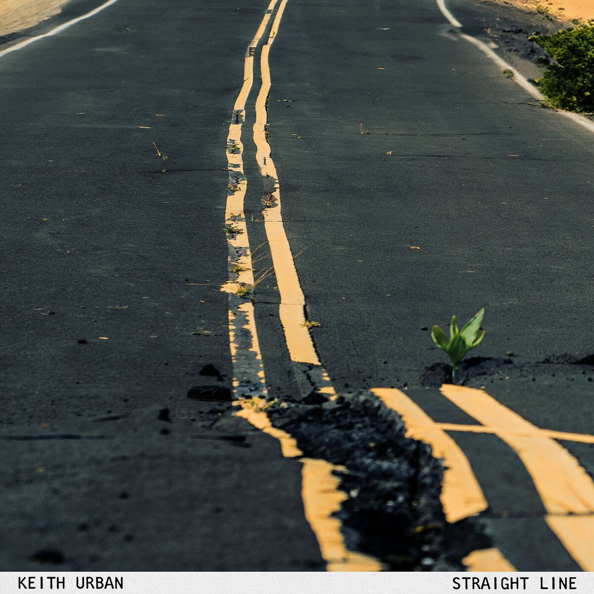Album cover of STRAIGHT LINE