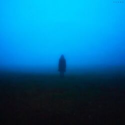 Cover of alone