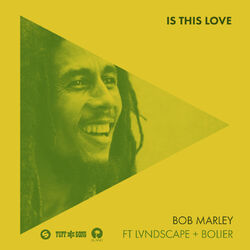 Cover of Is This Love (Remix)