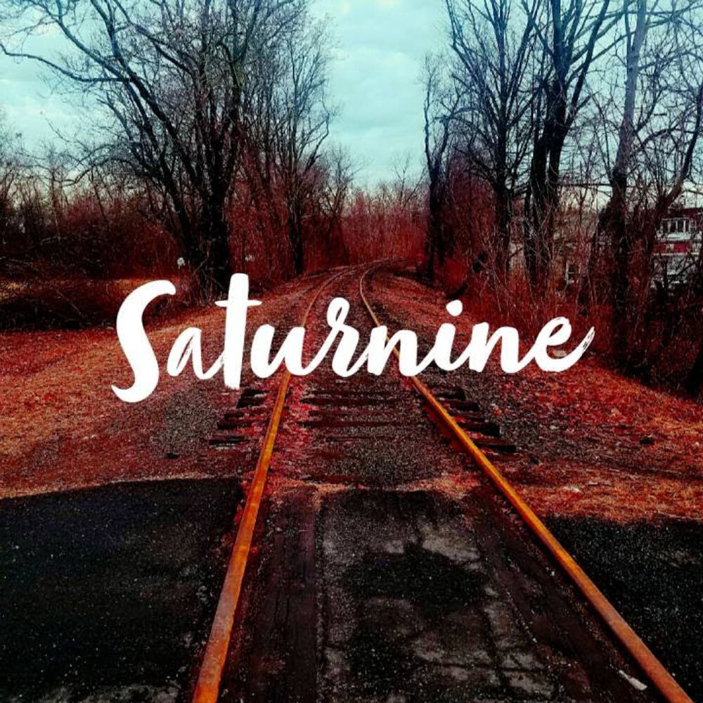 Picture of Saturnine