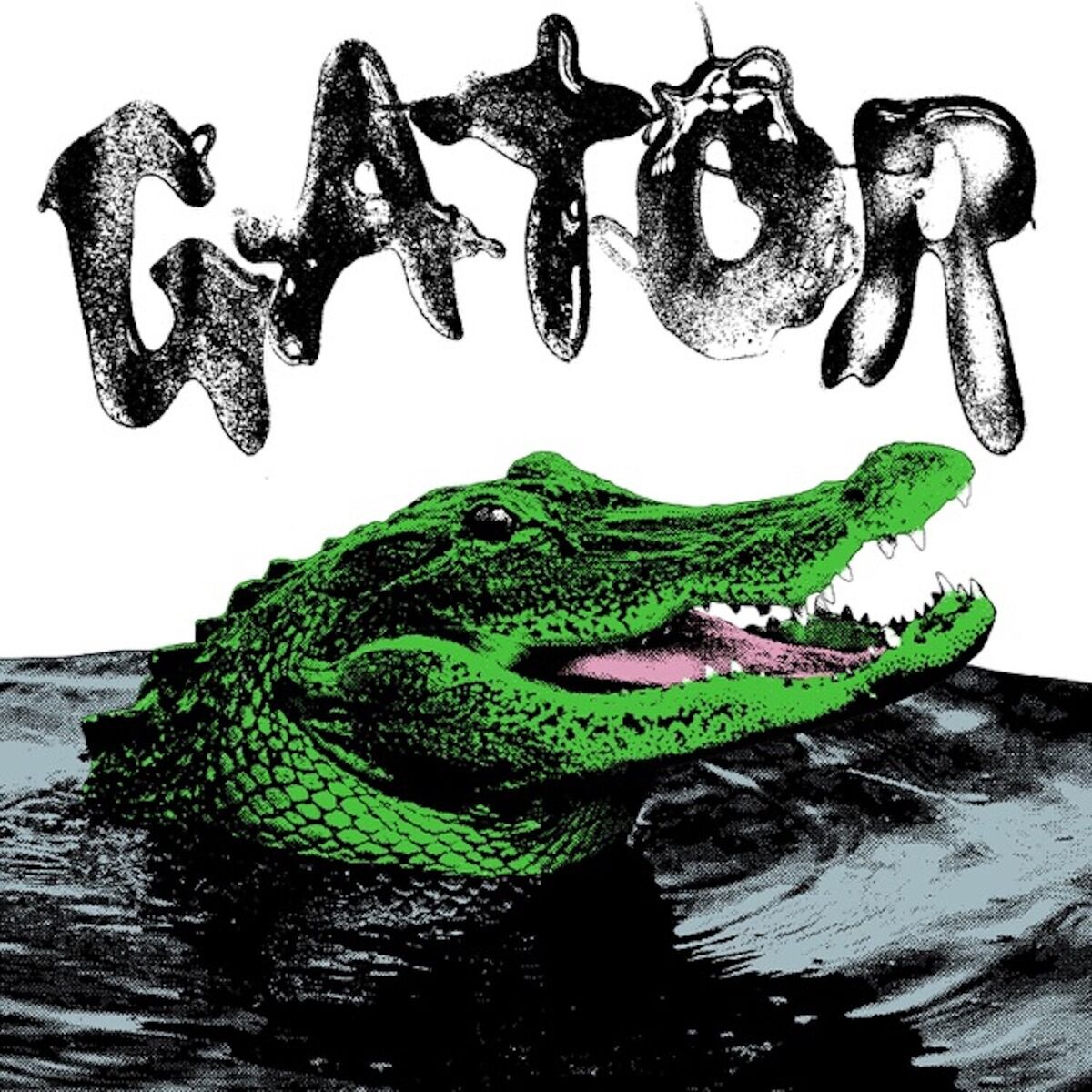 Album cover of GATOR