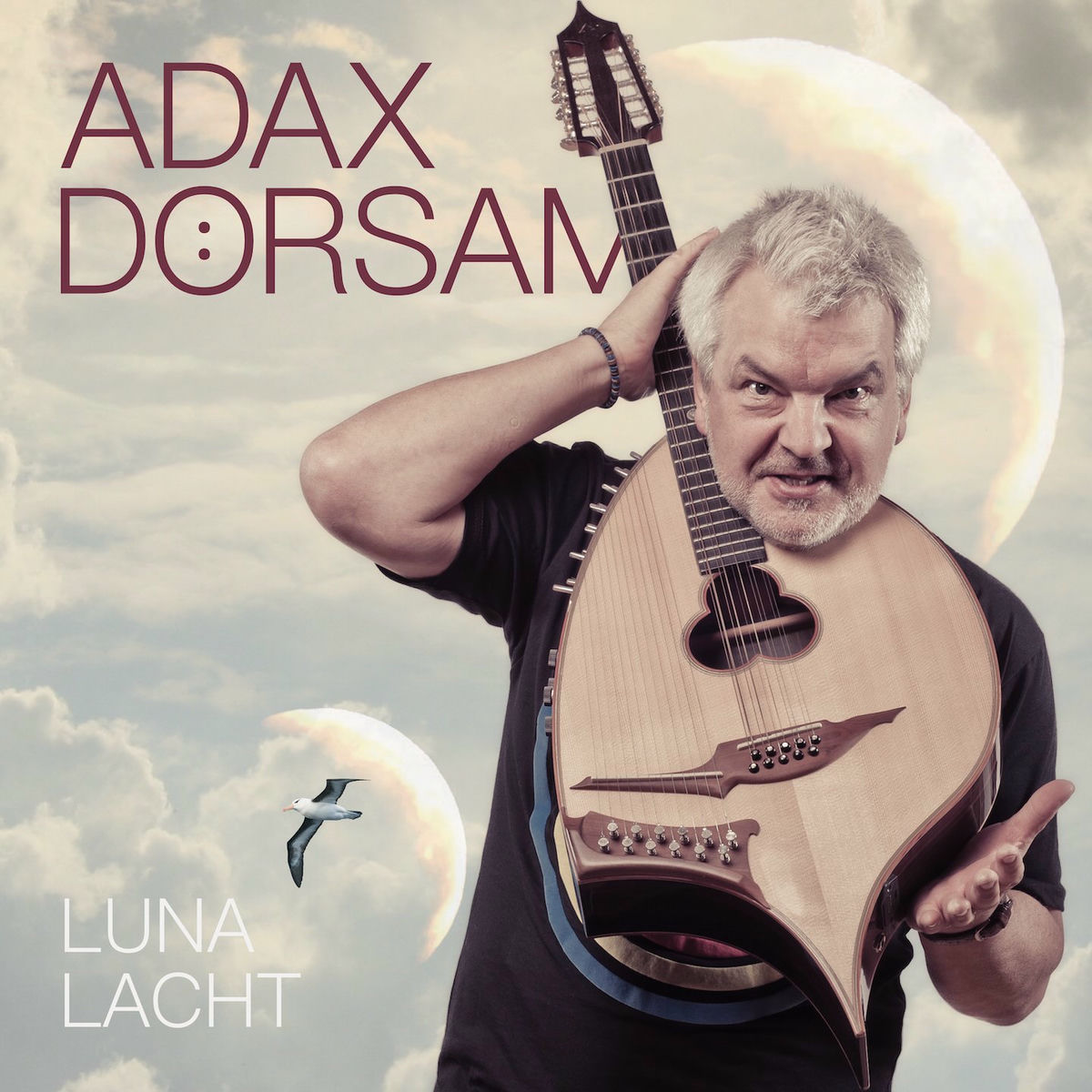 Album cover of Anna Panama