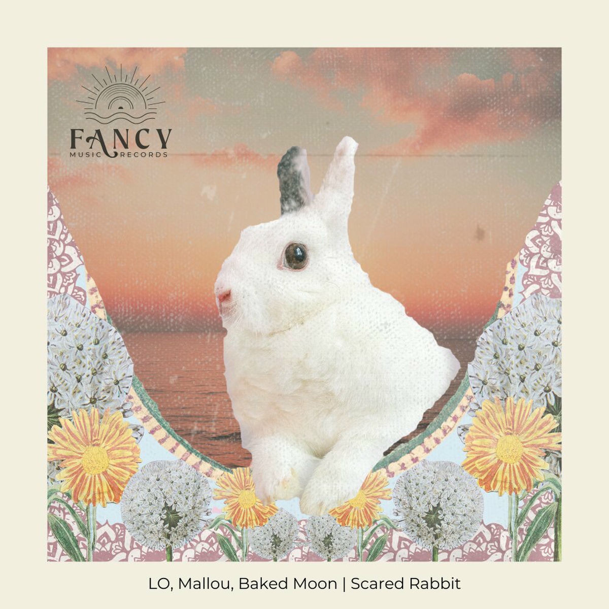 Album cover of Scared Rabbit