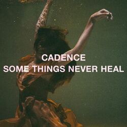 Cover of Some Things Never Heal
