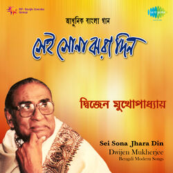 Cover of Sei Sona Jhara Din