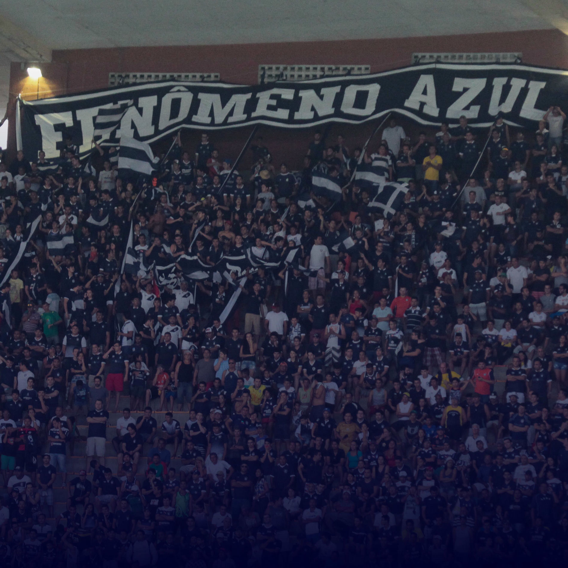 Album cover of Fenômeno Azul