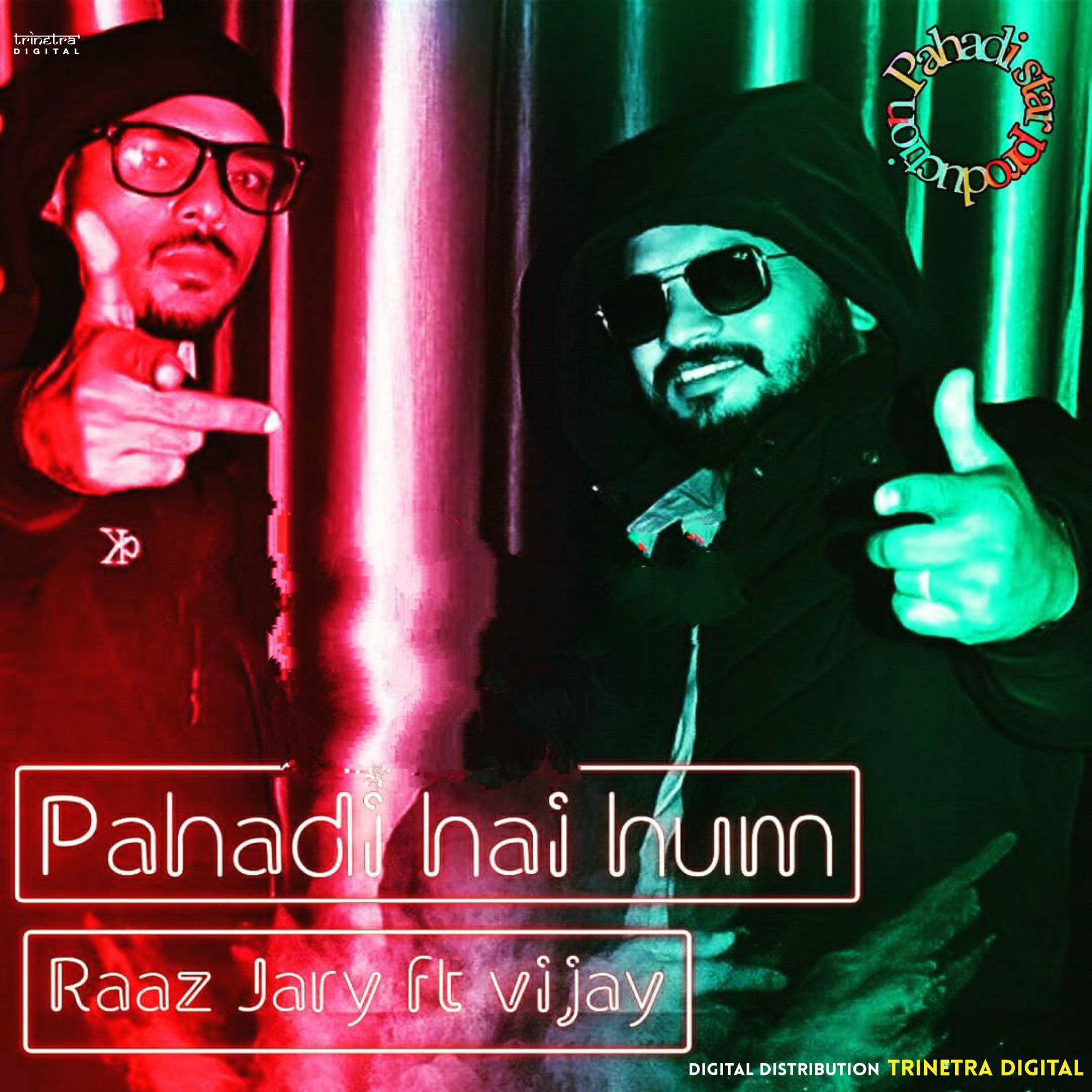 Album cover of Pahadi Hai Hum
