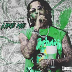 Cover of Like Me