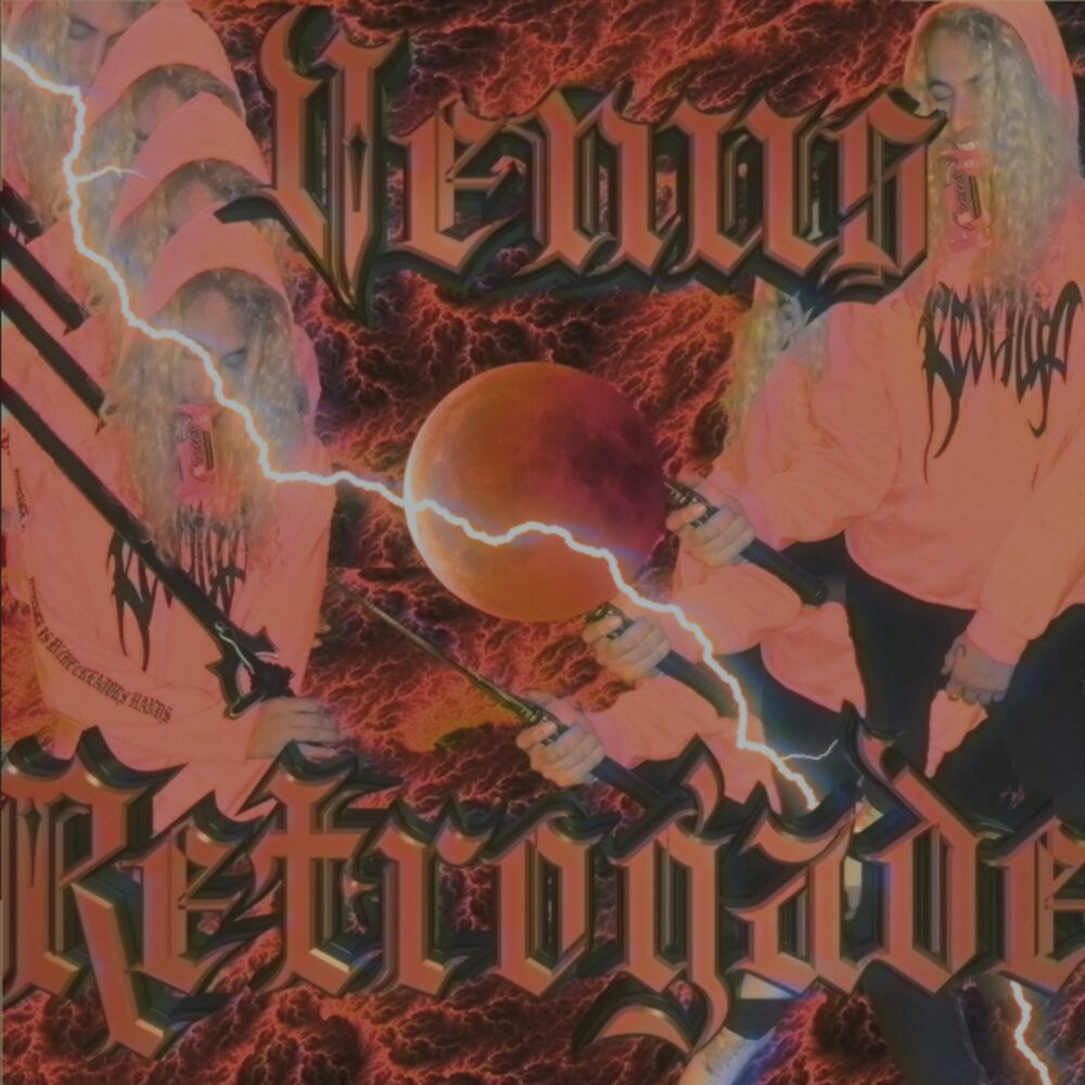 Picture of Venus Retrogade