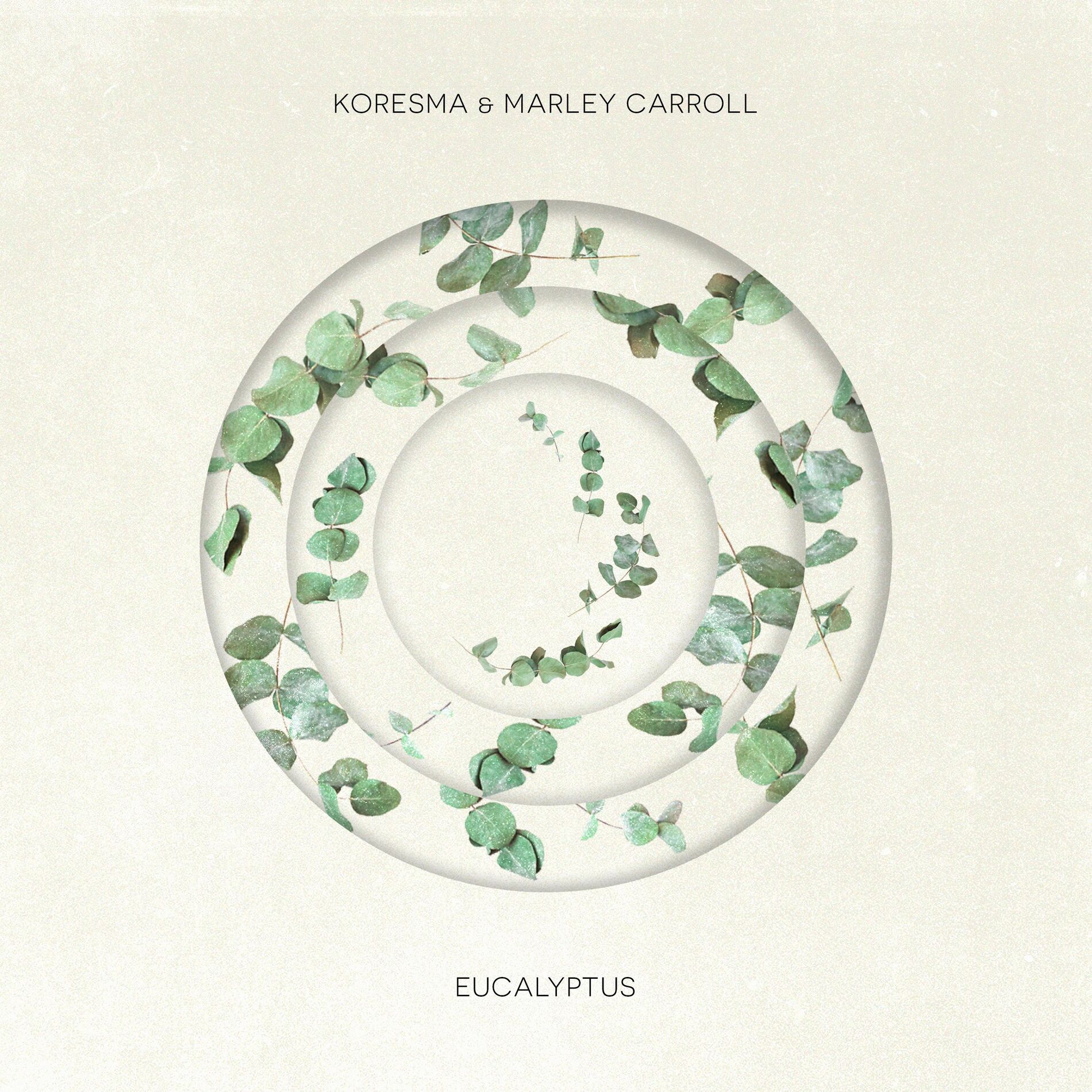 Album cover of Eucalyptus