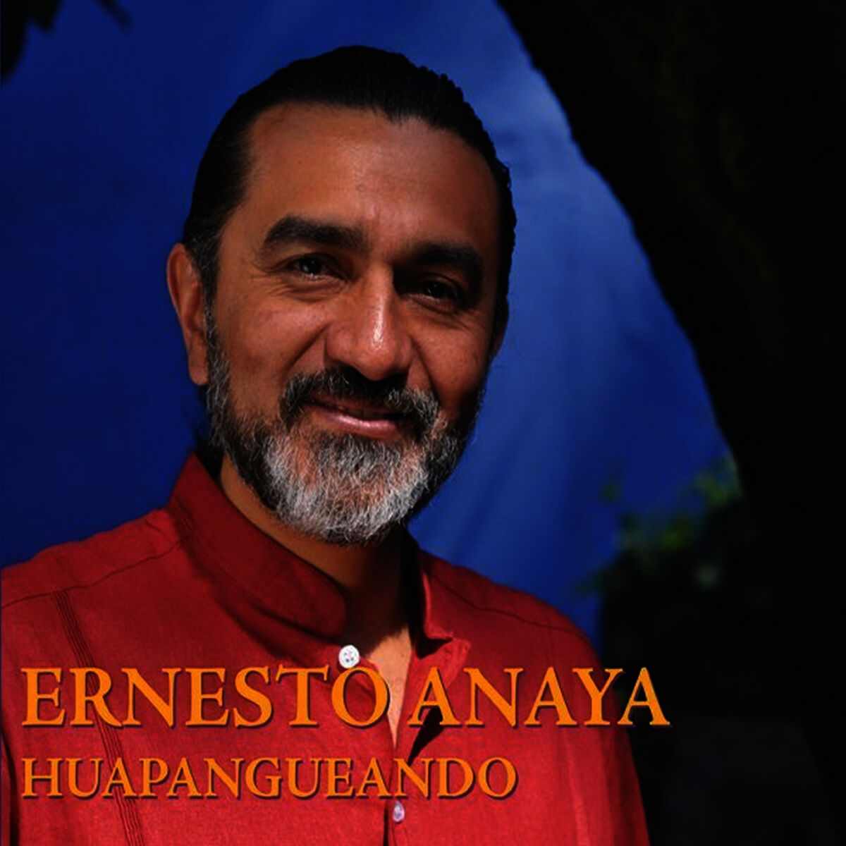 Album cover of Huapangueando