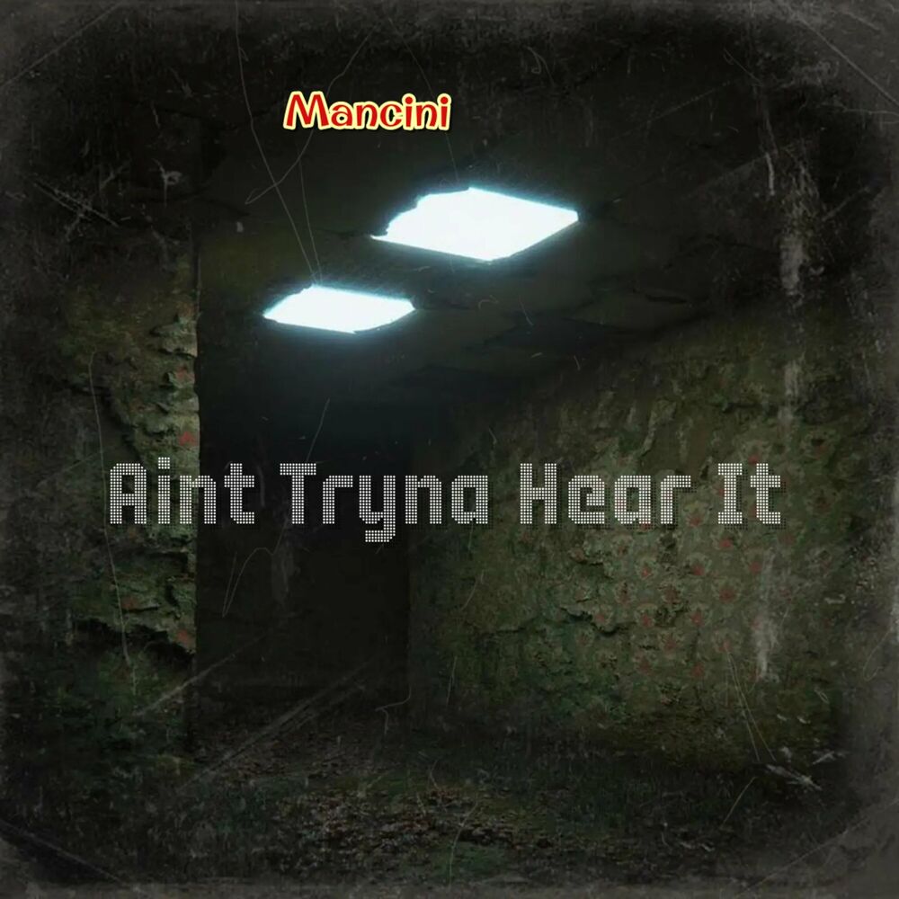 Picture of Aint Tryna Hear It
