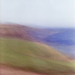 Cover of Surface Tension (Stripped)