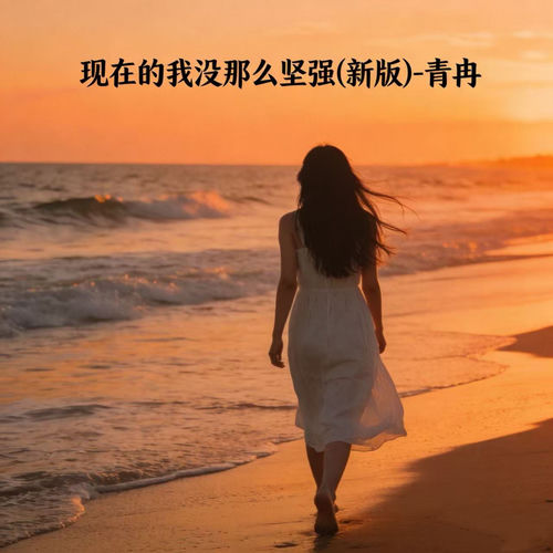 现在的我没那么坚强 (新版)