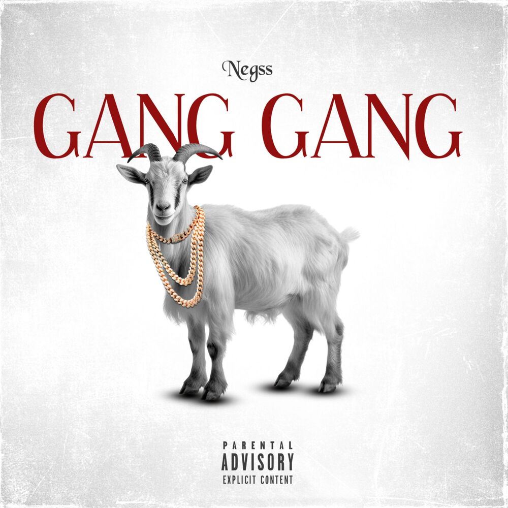 Picture of Gang Gang