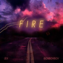 Cover of Fire