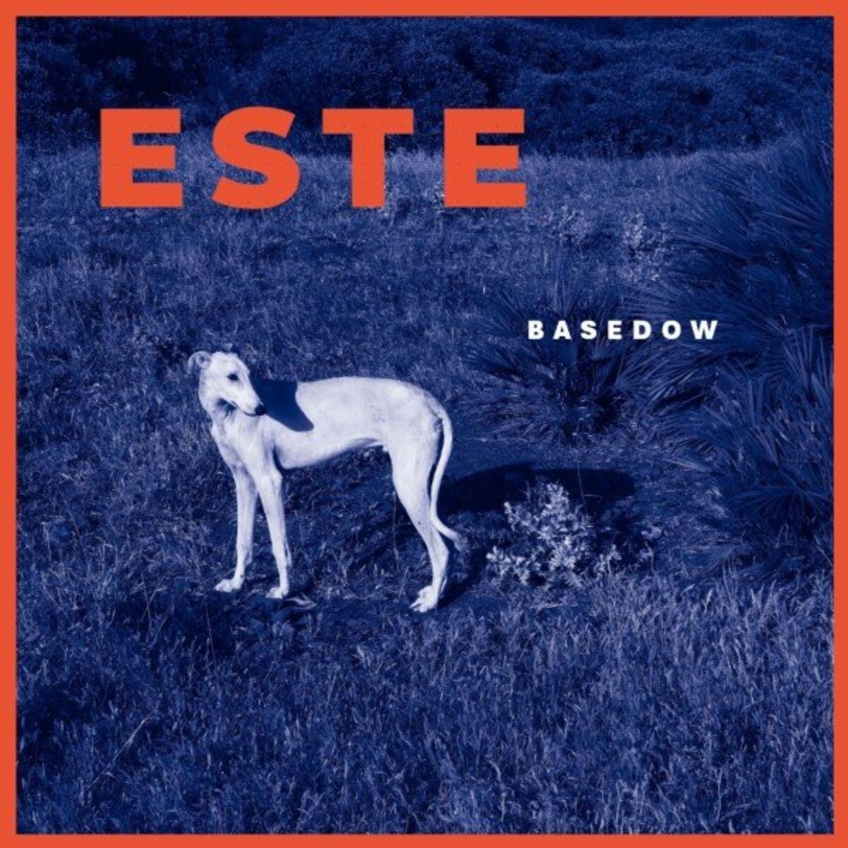 Album cover of Basedow