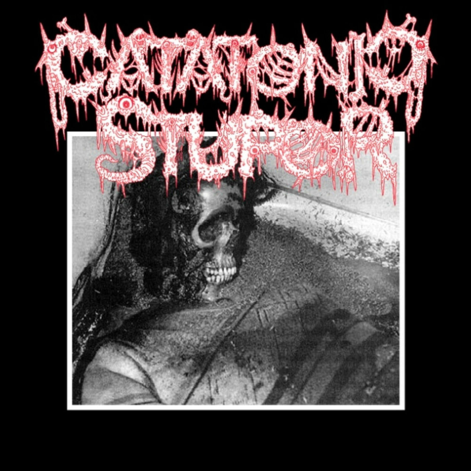 Album cover of Catatonic Stupor