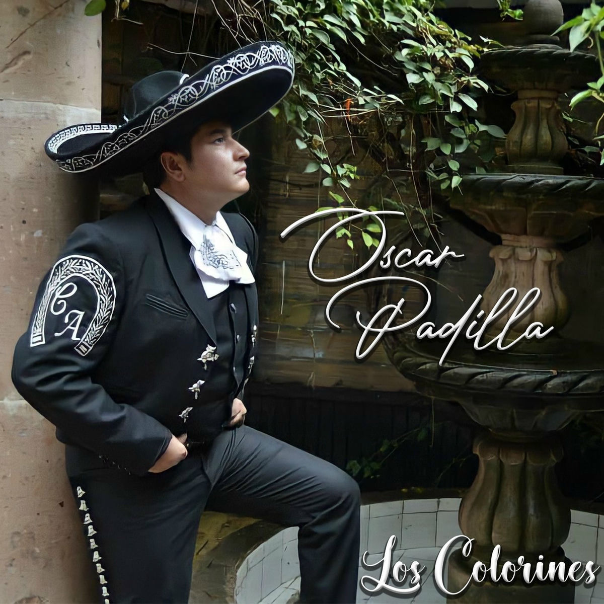 Album cover of Los Colorines