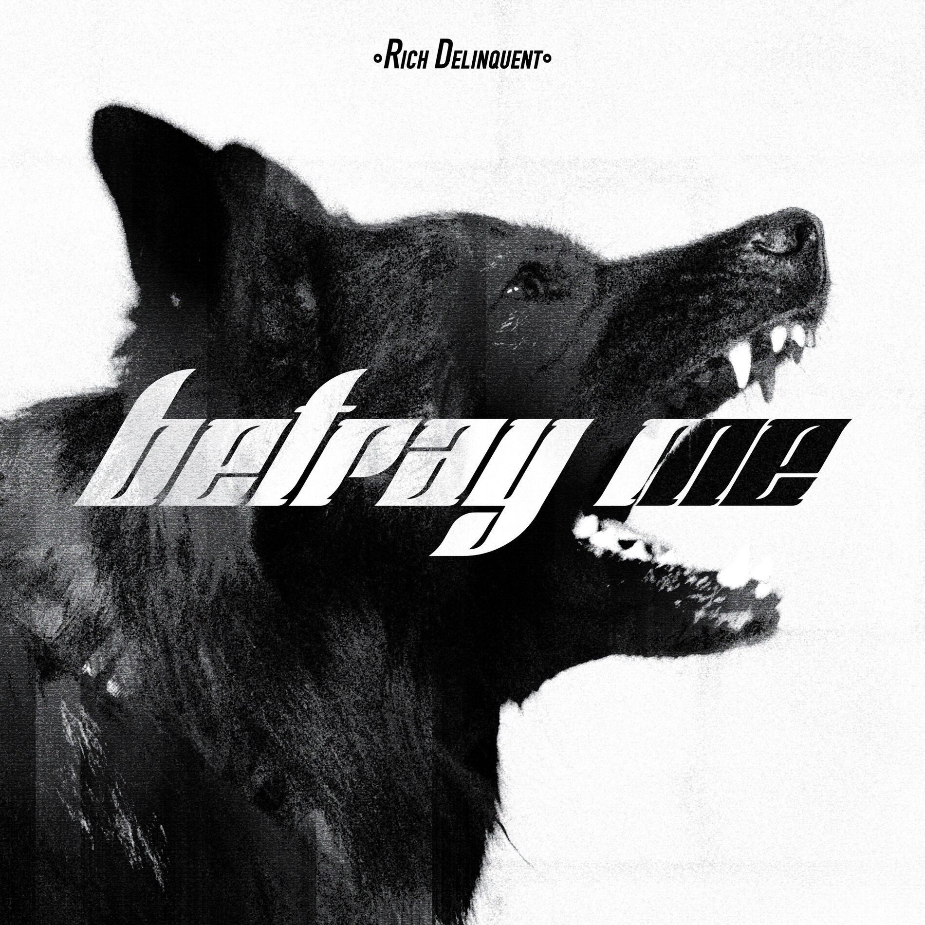 Album cover of Betray Me