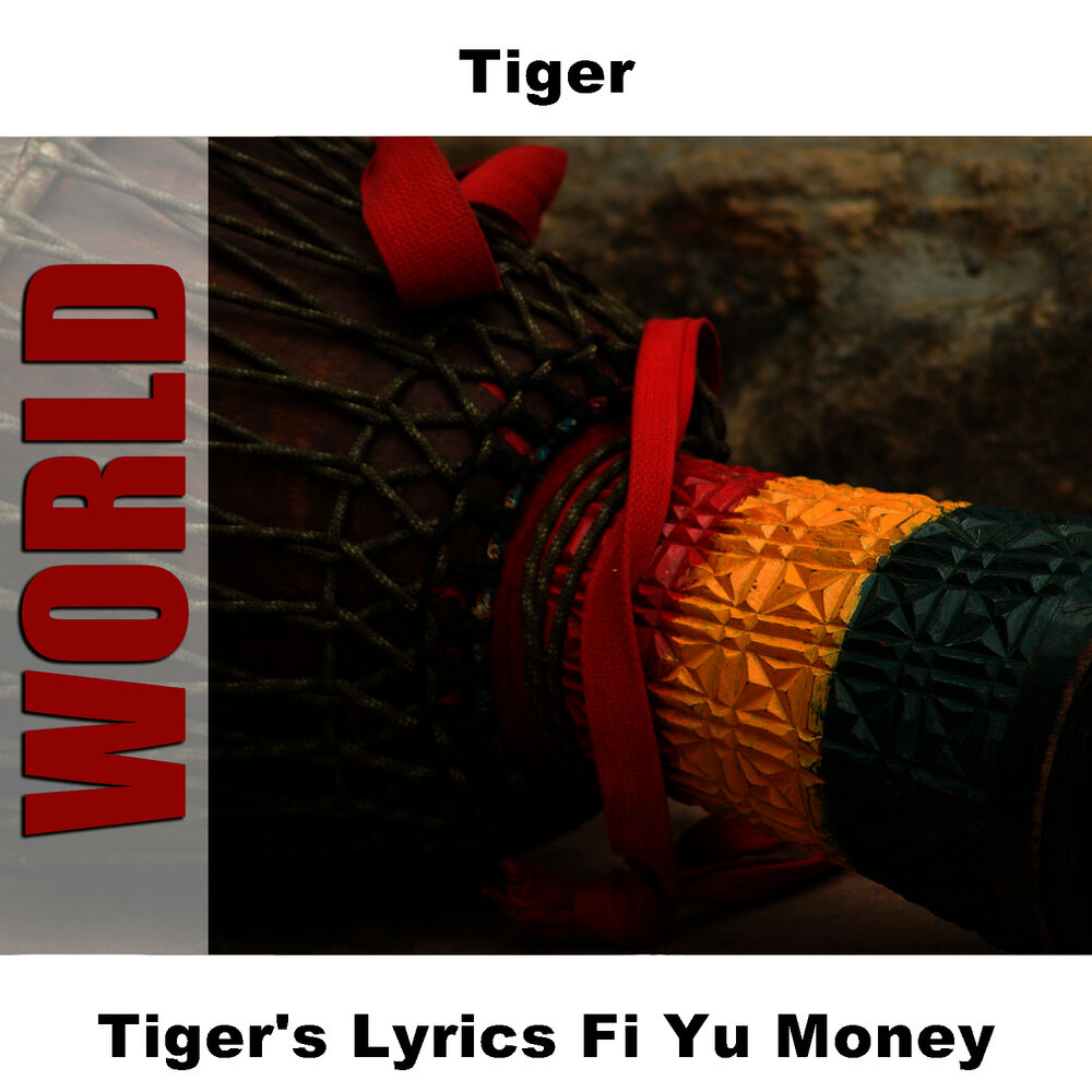 Picture of Tiger's Lyrics Fi Yu Money