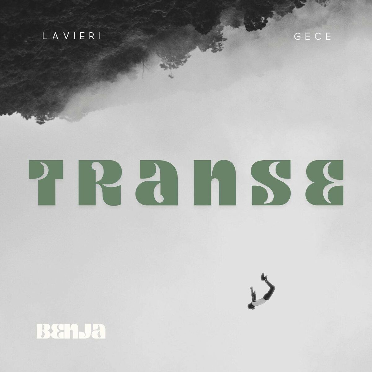 Album cover of Transe