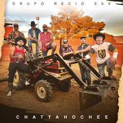 Cover of Chattahoochee