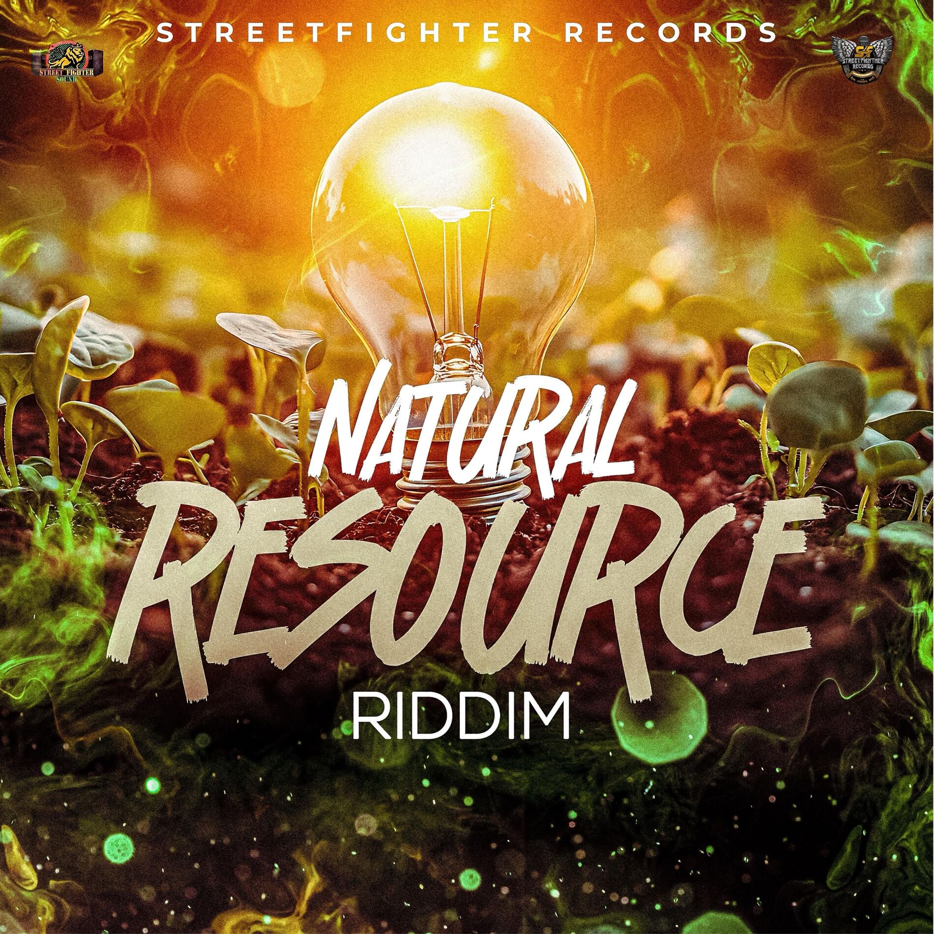 Album cover of NATURAL RESOURCE RIDDIM