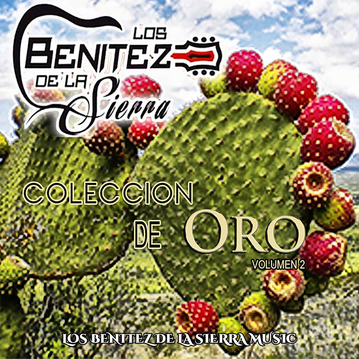 Album cover of Si Pudiera