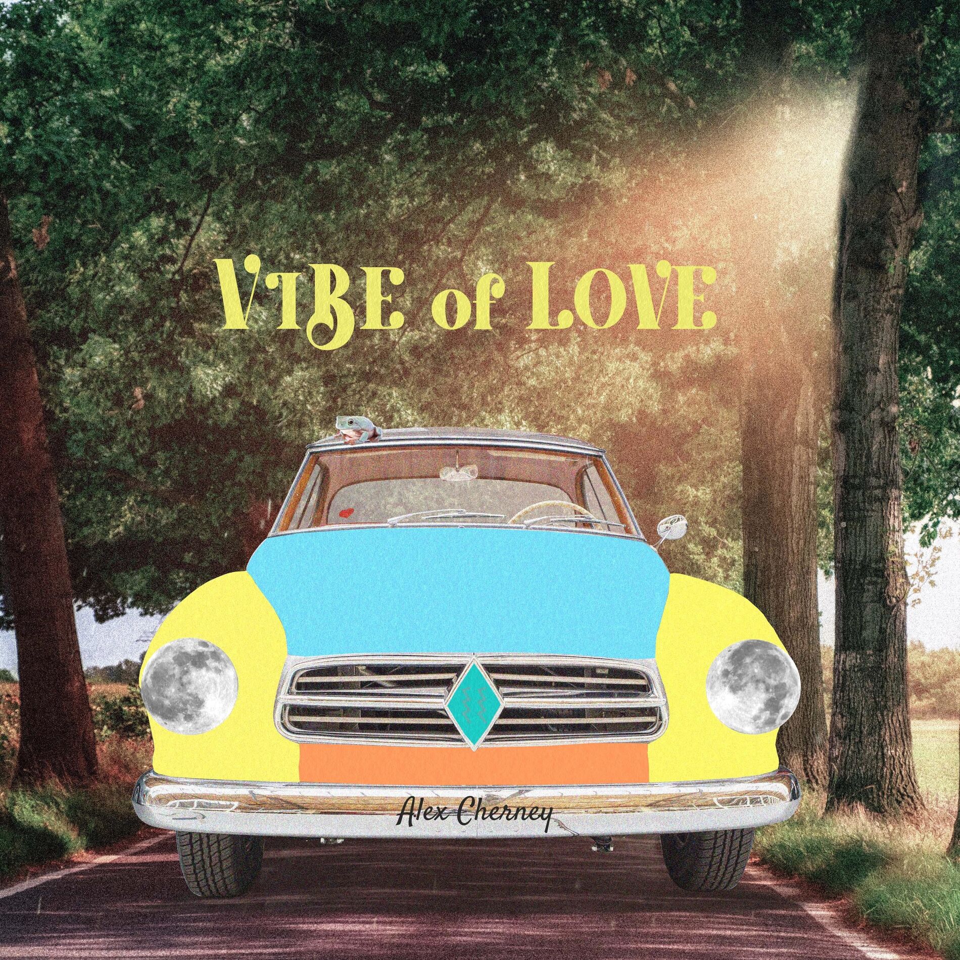 Album cover of Vibe of Love