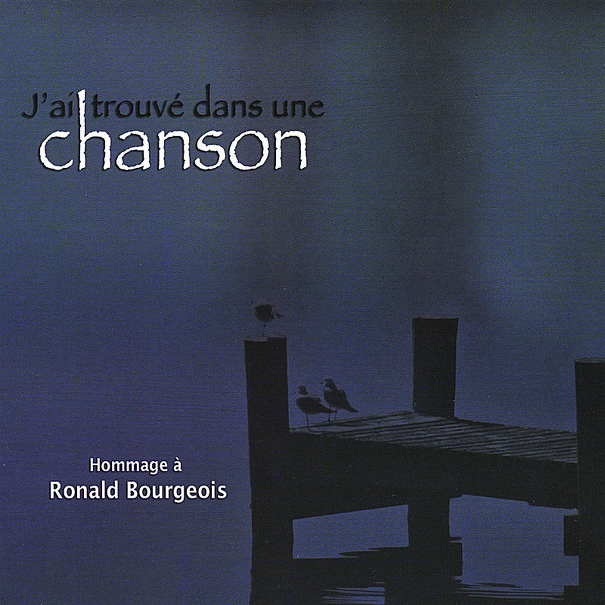 Album cover of J'ai trouvé dans une chanson
