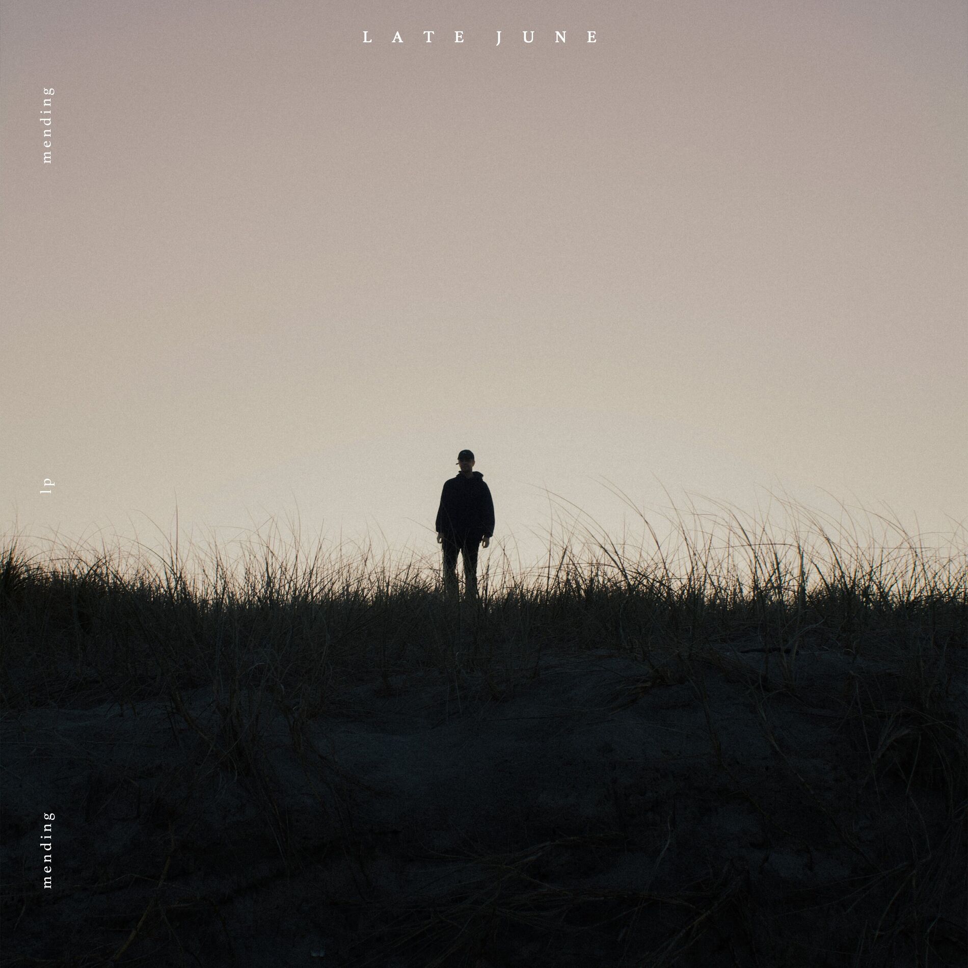 Album cover of Mending