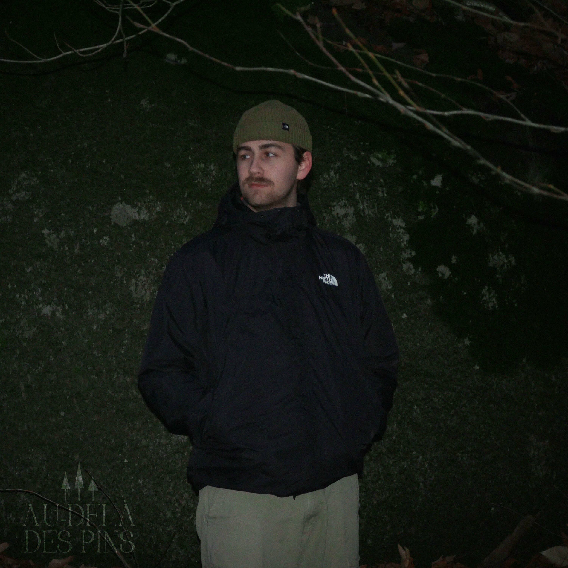 Album cover of AU-DELÀ DES PINS