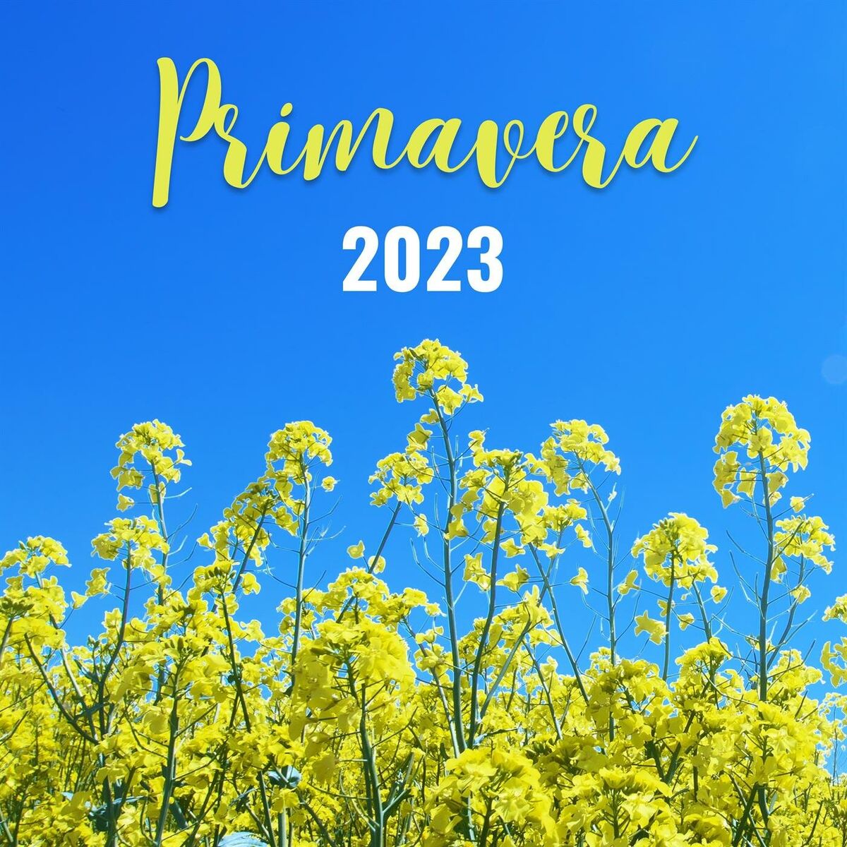 Album cover of Primavera - 2023